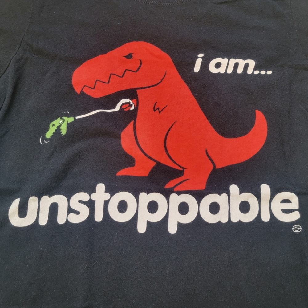 Fun Unstoppable T-shirt